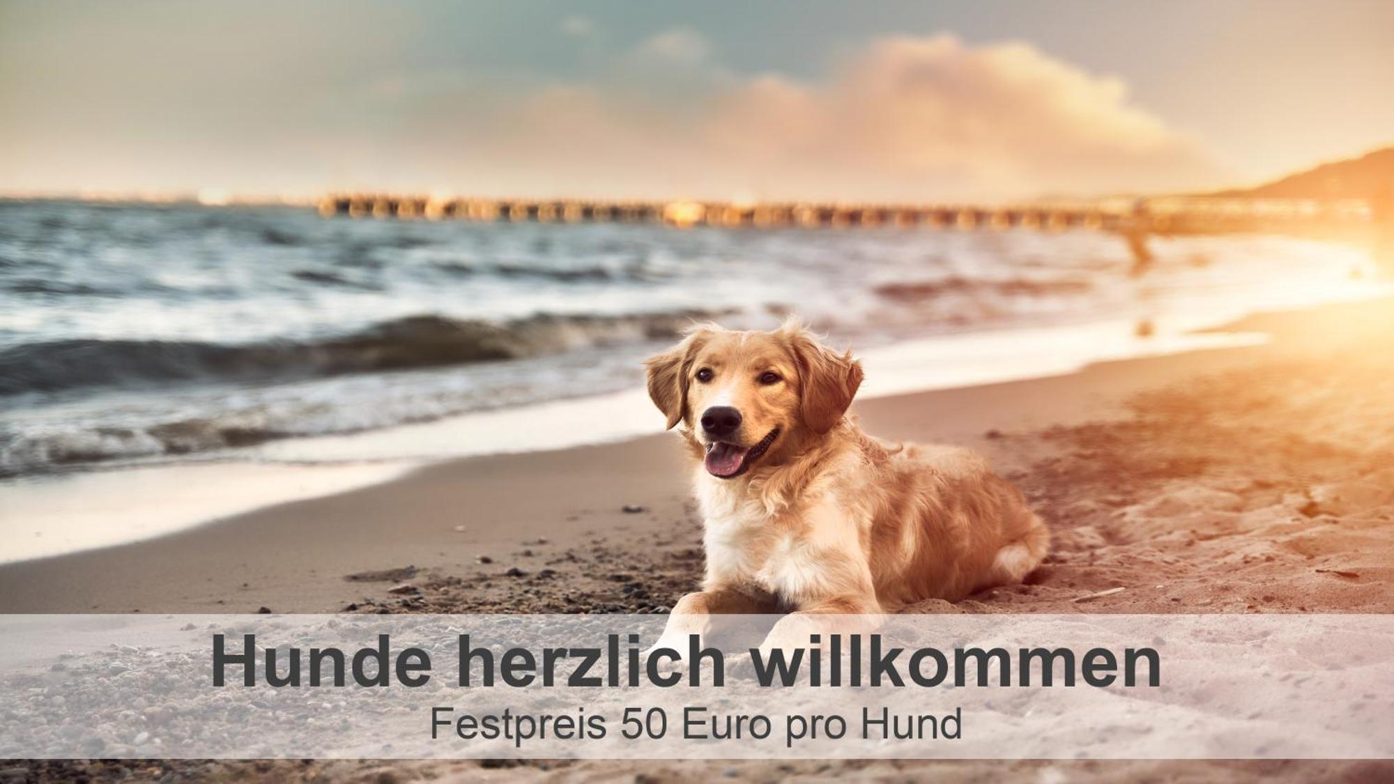 Apartmán Gulfhof-Ferien Briese Großheide Exteriér fotografie